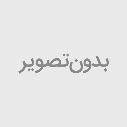 باکس میگو شریمپ کلاب