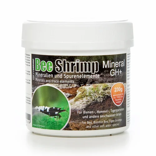 shrimp Bee Shrimp Gh shrimpplus + سالتی شریمپ جی اچ پلاس