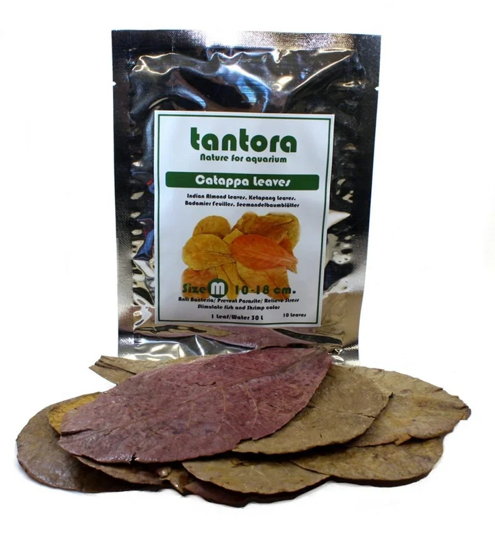 برگهای کاتاپا متوسط تانتورا: تغذیه مکمل طبیعی برای آکواریوم