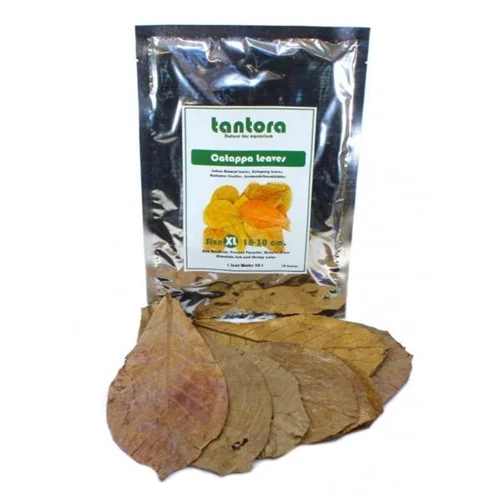 برگهای کاتاپا فوقالعاده بزرگ تانتورا: تغذیه مکمل طبیعی برای آکواریوم